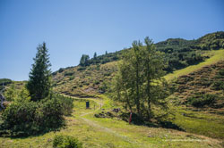 nassfeld